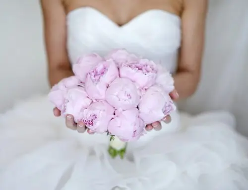 Wedding Season 2023